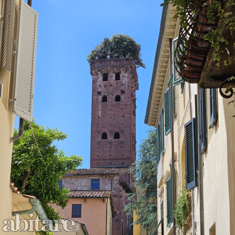 Il Cervo In Città