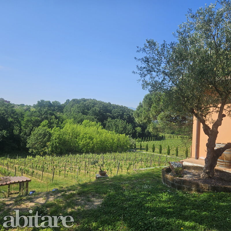 Cercatoia Alta Borgo delle Esperienze