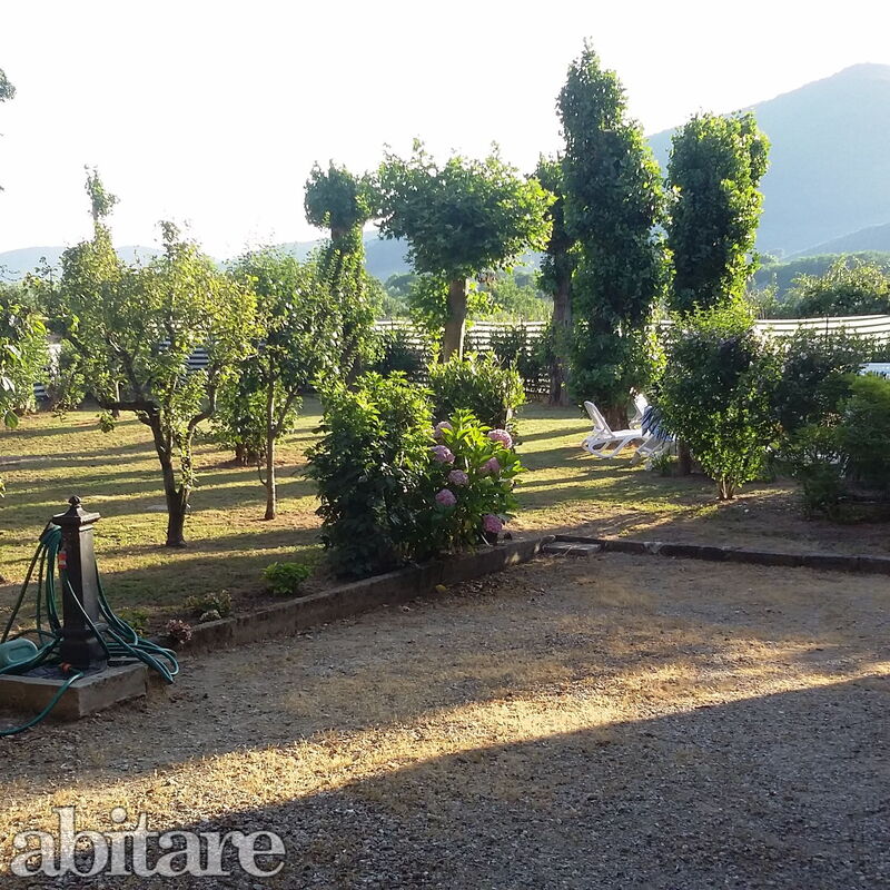 Villa Elisa: Garden, Outdoor